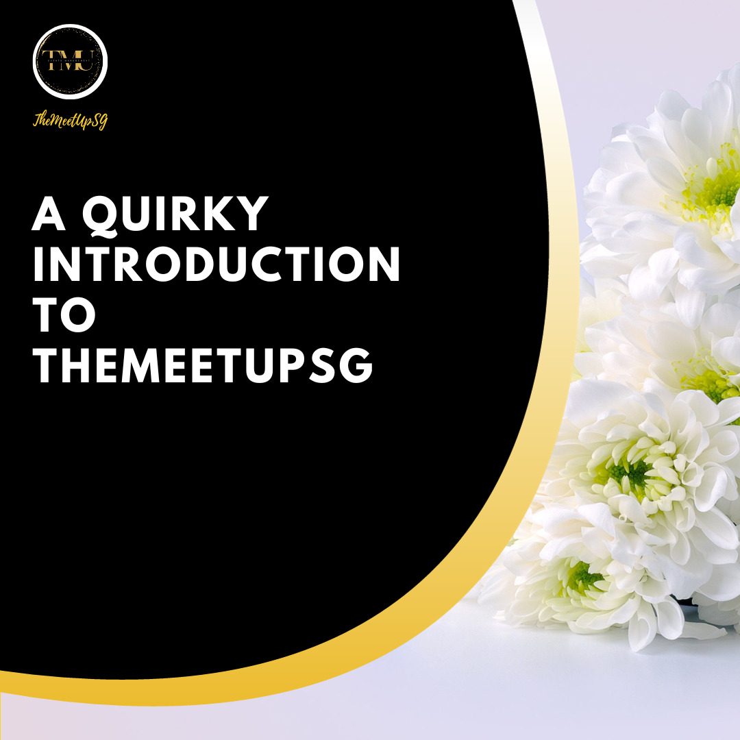 a quirky introduction to themeetupsg